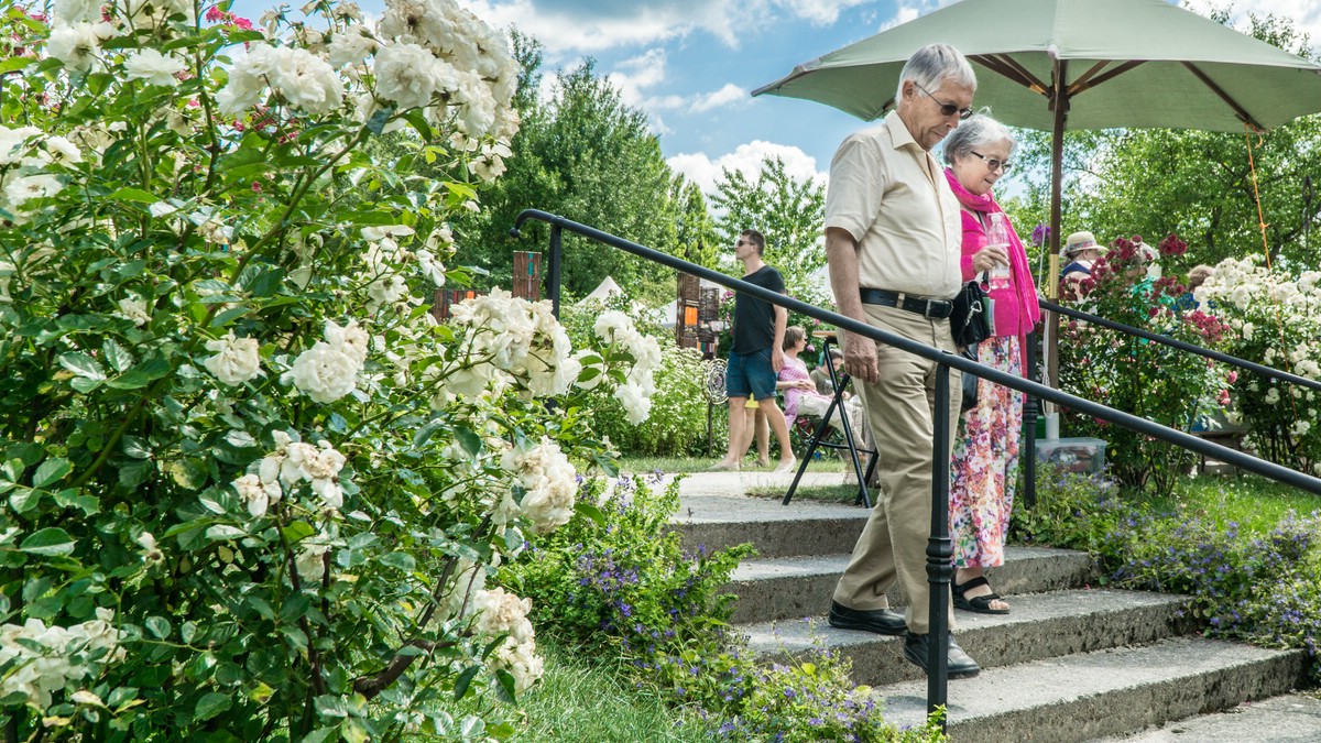 O Fotomagazin / Gartentage im Historischen Stiftsgarten im Stift Seitenstetten 